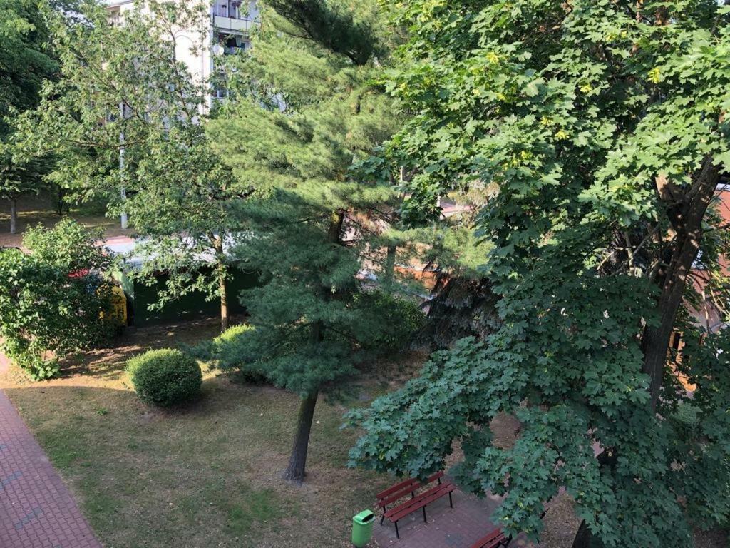 Apartamento Chrobrego 269 Biała Podlaska Exterior foto