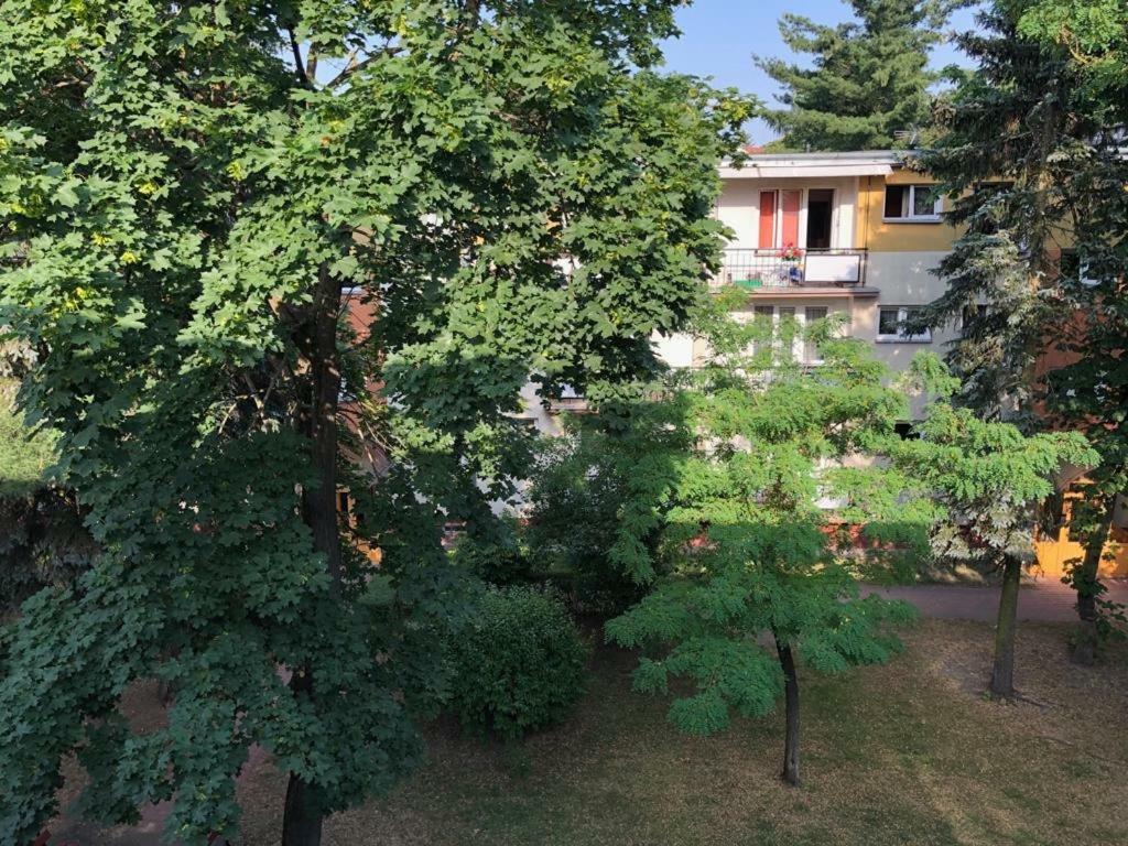 Apartamento Chrobrego 269 Biała Podlaska Exterior foto